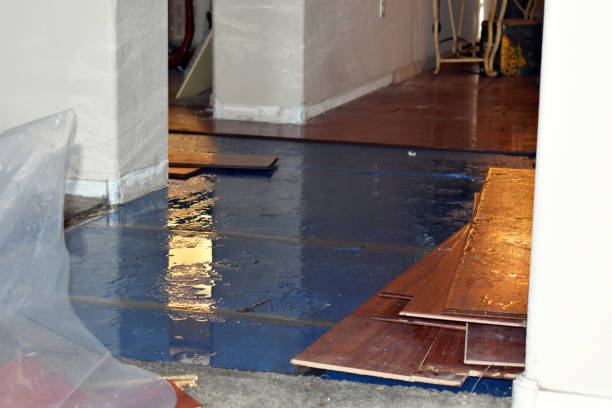 Professional Basement Flood Cleanup technician working in Westwood, KS